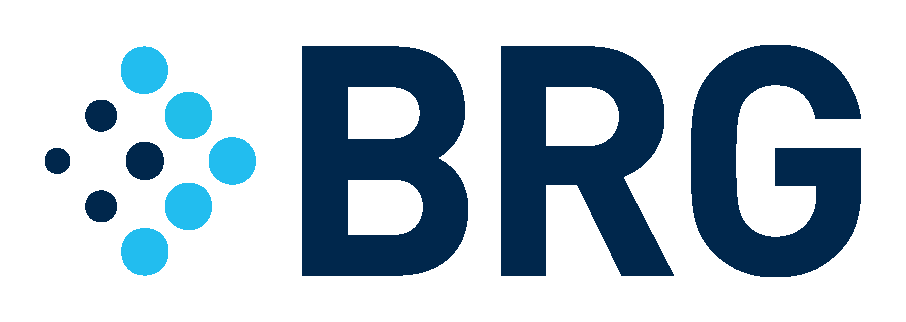 Berkeley Research Group